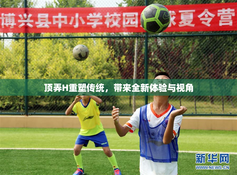 顶弄H重塑传统，带来全新体验与视角