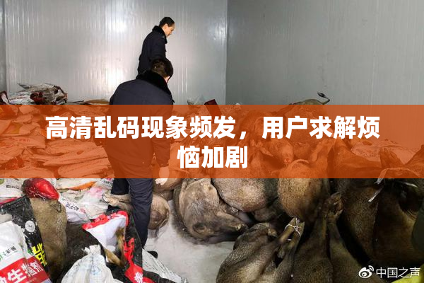 高清乱码现象频发，用户求解烦恼加剧
