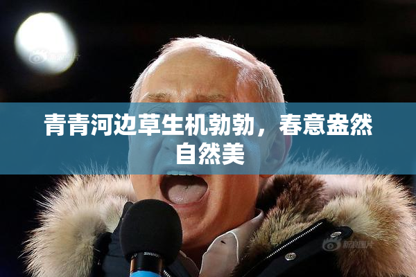 青青河边草生机勃勃，春意盎然自然美