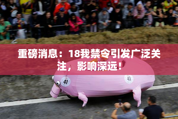 重磅消息：18我禁令引发广泛关注，影响深远！