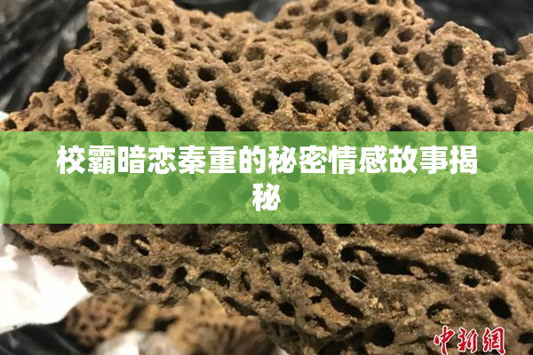校霸暗恋秦重的秘密情感故事揭秘