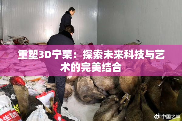 重塑3D宁荣：探索未来科技与艺术的完美结合