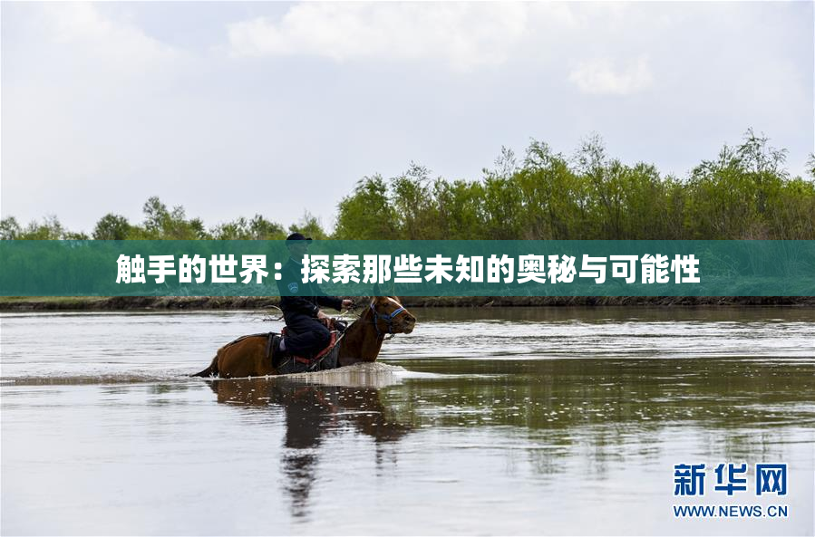 触手的世界：探索那些未知的奥秘与可能性