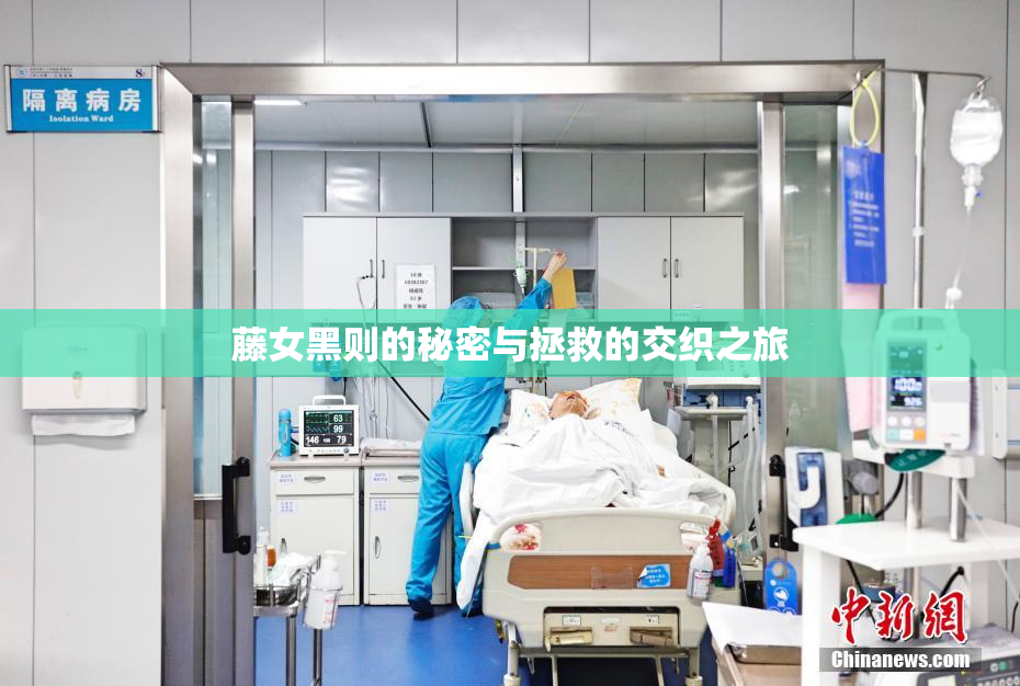 藤女黑则的秘密与拯救的交织之旅