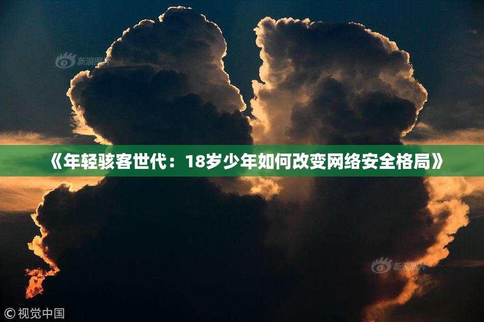 《年轻骇客世代：18岁少年如何改变网络安全格局》