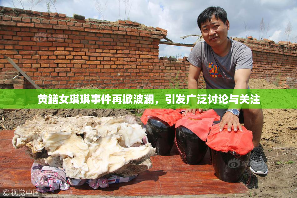 黄鳝女琪琪事件再掀波澜，引发广泛讨论与关注