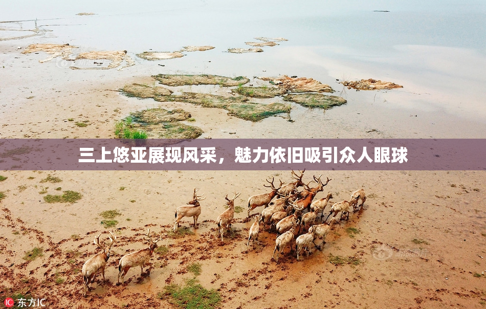 三上悠亚展现风采，魅力依旧吸引众人眼球
