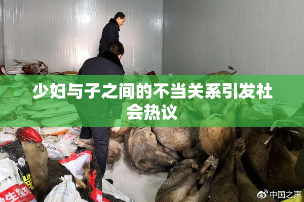 少妇与子之间的不当关系引发社会热议