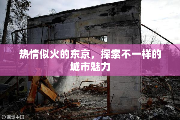 热情似火的东京，探索不一样的城市魅力