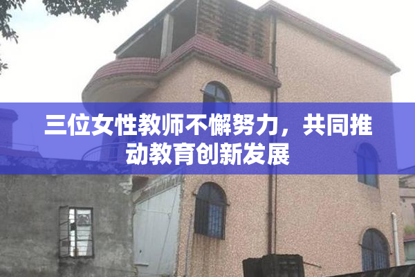 三位女性教师不懈努力，共同推动教育创新发展