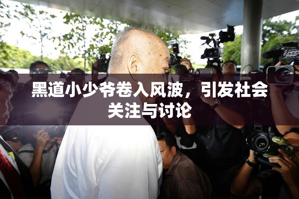 黑道小少爷卷入风波，引发社会关注与讨论