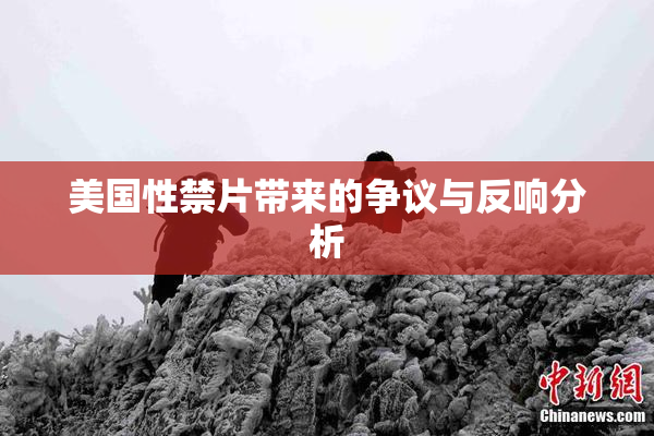 美国性禁片带来的争议与反响分析