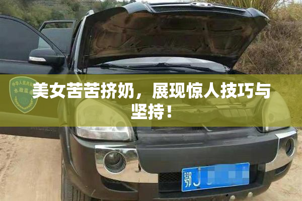 美女苦苦挤奶，展现惊人技巧与坚持！