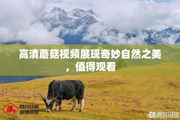 高清蘑菇视频展现奇妙自然之美，值得观看
