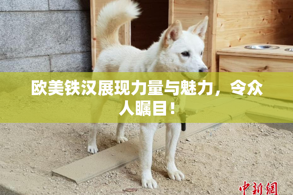 欧美铁汉展现力量与魅力，令众人瞩目！