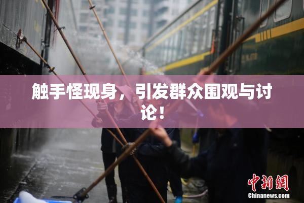 触手怪现身，引发群众围观与讨论！