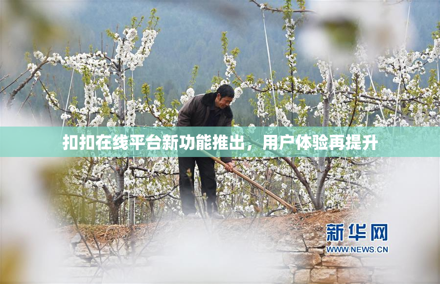 扣扣在线平台新功能推出，用户体验再提升