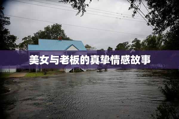 美女与老板的真挚情感故事