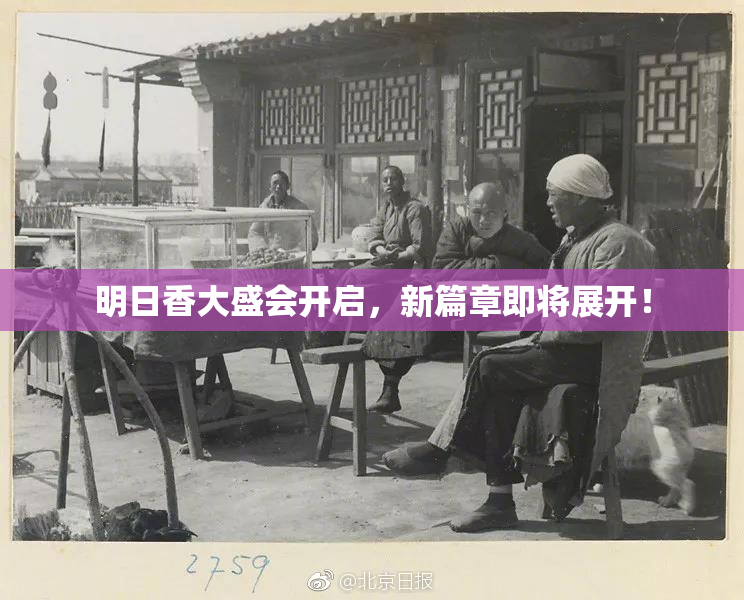 明日香大盛会开启，新篇章即将展开！