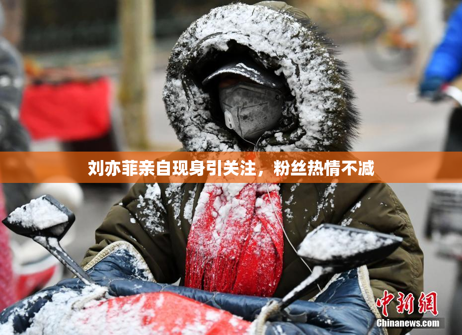 刘亦菲亲自现身引关注，粉丝热情不减