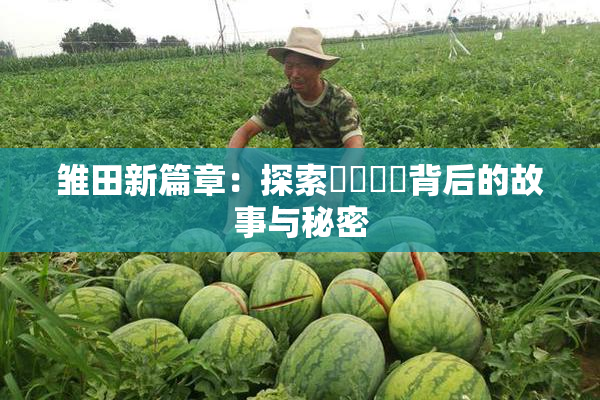 雏田新篇章：探索❌‌❌‌背后的故事与秘密