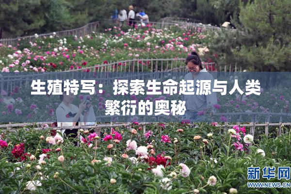 生殖特写：探索生命起源与人类繁衍的奥秘