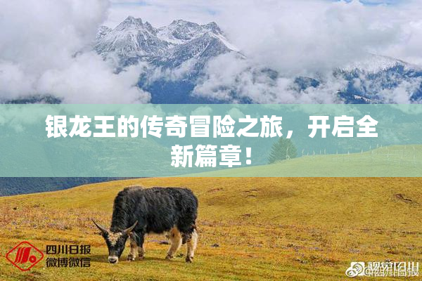 银龙王的传奇冒险之旅，开启全新篇章！