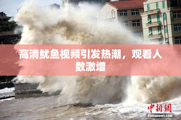 高清鱿鱼视频引发热潮，观看人数激增