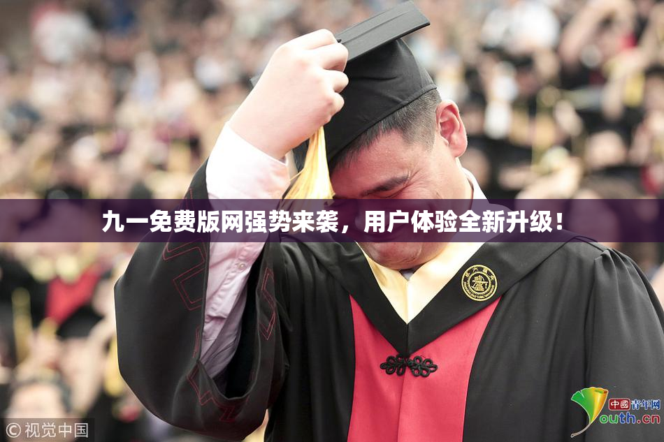 九一免费版网强势来袭，用户体验全新升级！