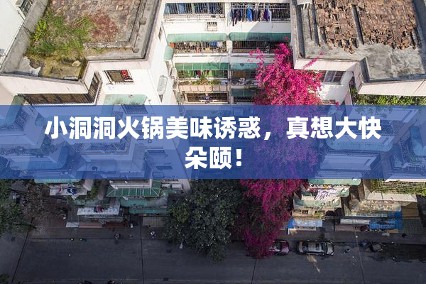 小洞洞火锅美味诱惑，真想大快朵颐！