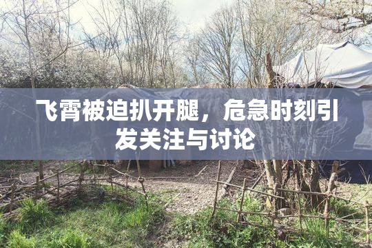 飞霄被迫扒开腿，危急时刻引发关注与讨论