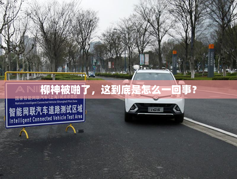 柳神被啪了，这到底是怎么一回事？