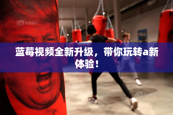 蓝莓视频全新升级，带你玩转a新体验！