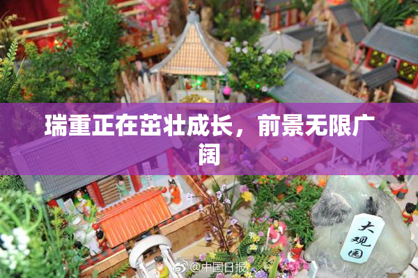 瑞重正在茁壮成长，前景无限广阔