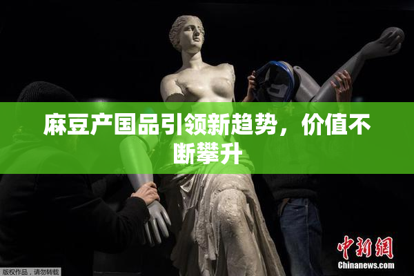 麻豆产国品引领新趋势，价值不断攀升