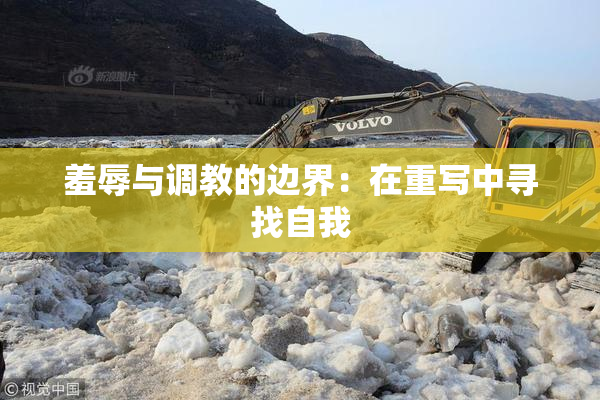 羞辱与调教的边界：在重写中寻找自我