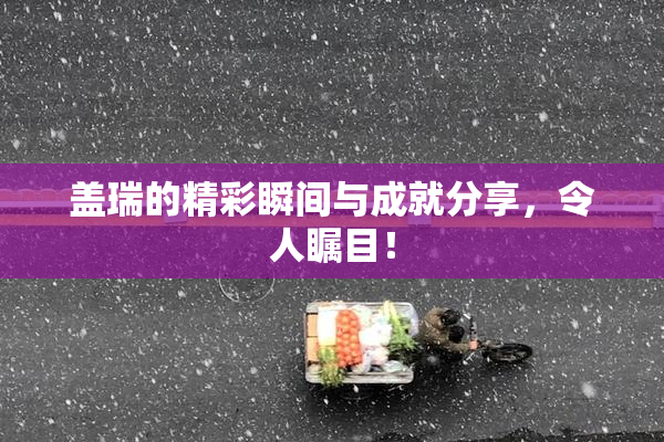 盖瑞的精彩瞬间与成就分享，令人瞩目！