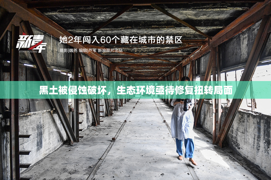 黑土被侵蚀破坏，生态环境亟待修复扭转局面