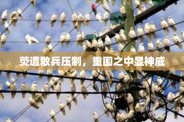 荧遭散兵压制，重围之中显神威