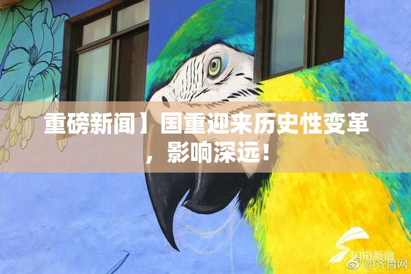 重磅新闻】国重迎来历史性变革，影响深远！