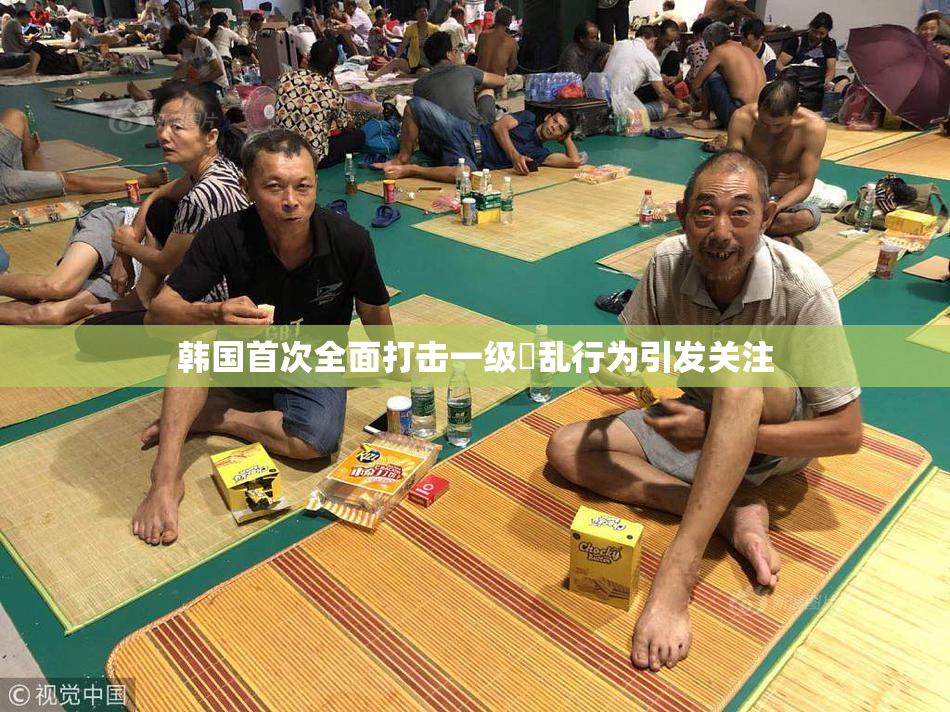 韩国首次全面打击一级婬乱行为引发关注