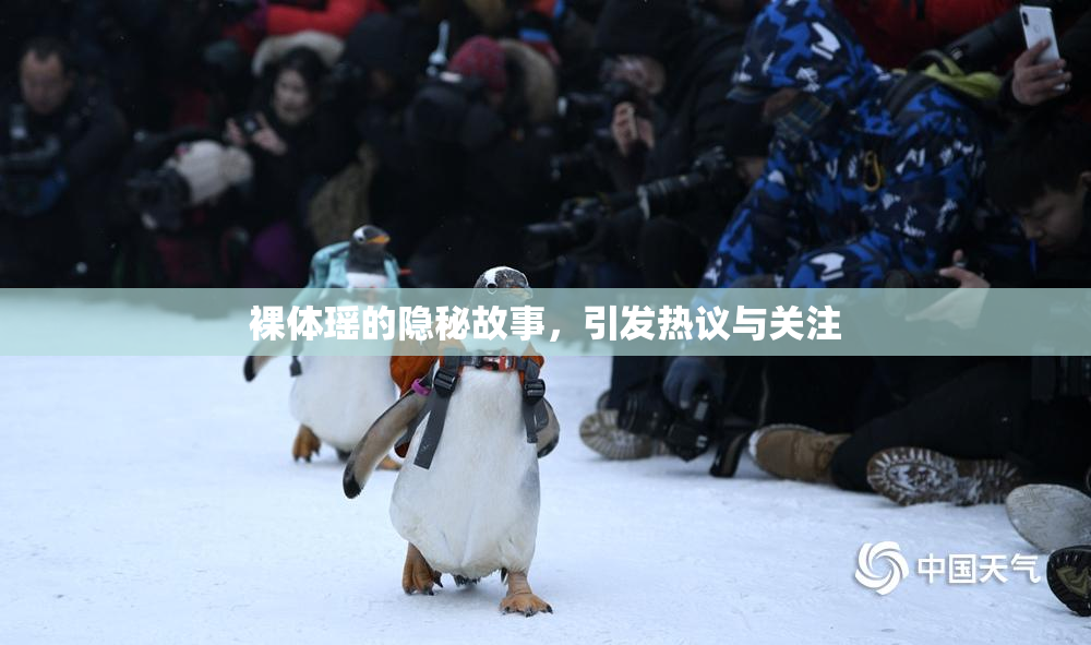 裸体瑶的隐秘故事，引发热议与关注