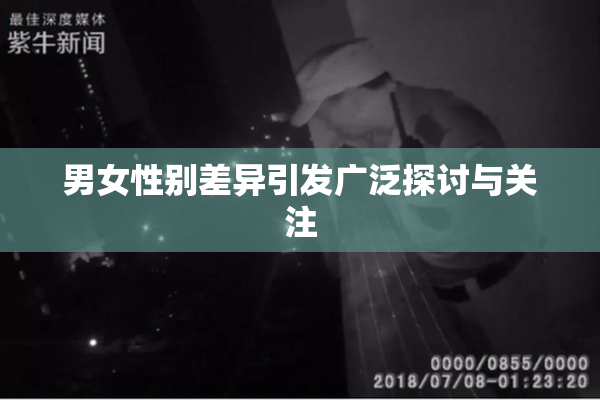 男女性别差异引发广泛探讨与关注