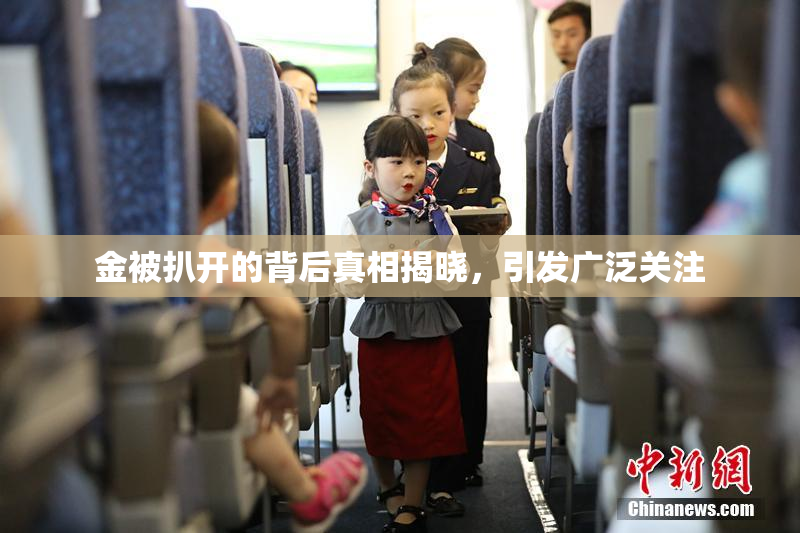 金被扒开的背后真相揭晓，引发广泛关注