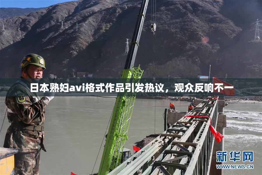 日本熟妇avi格式作品引发热议，观众反响不一