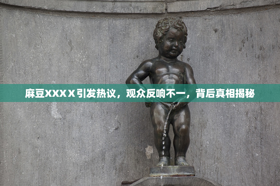 麻豆XXXⅩ引发热议，观众反响不一，背后真相揭秘