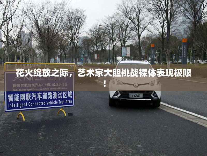花火绽放之际，艺术家大胆挑战裸体表现极限！