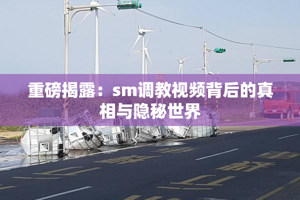 重磅揭露：sm调教视频背后的真相与隐秘世界