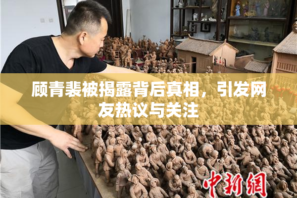 顾青裴被揭露背后真相，引发网友热议与关注