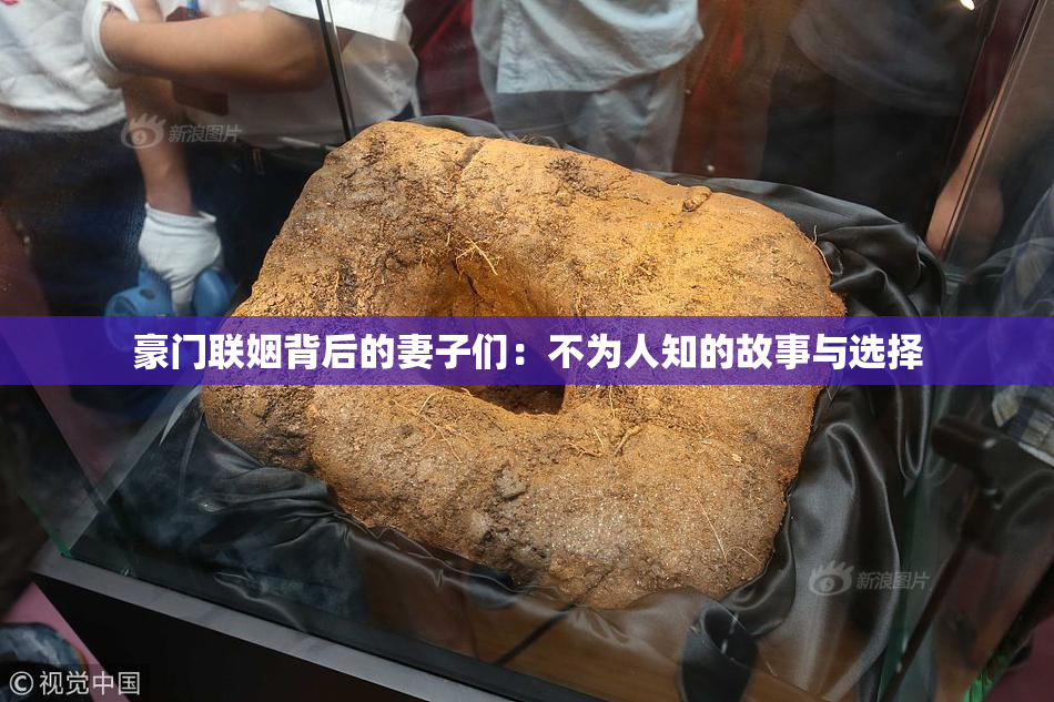 豪门联姻背后的妻子们：不为人知的故事与选择